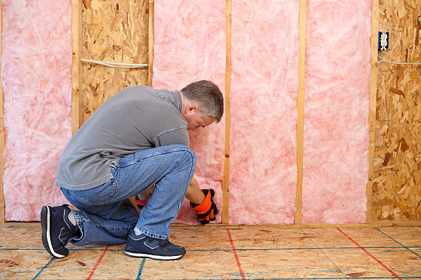 Best Insulation Maintenance and Repair in Reston, VA